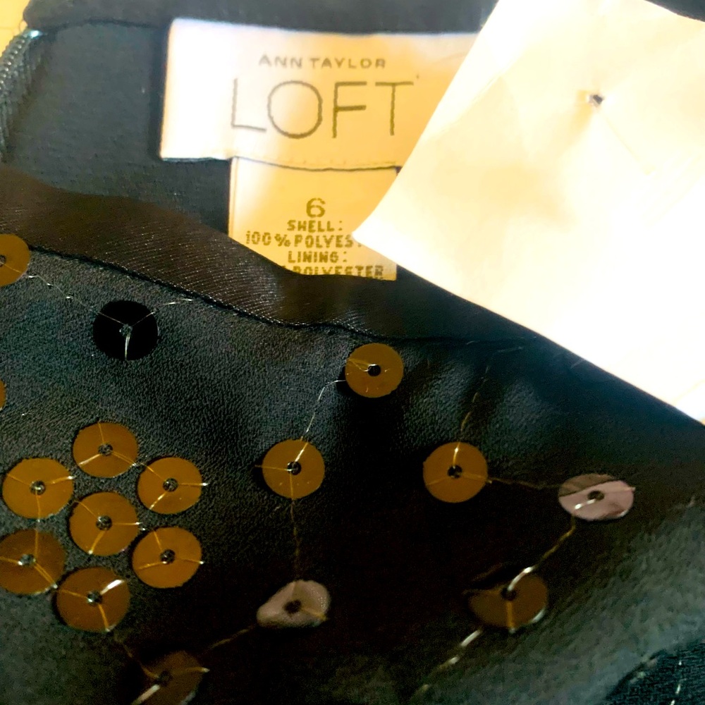 Ann Taylor Lift sequin skirt